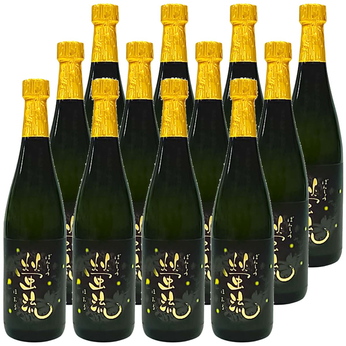 螢流(ほたる) 720ml 12本セット 25度 ぶんご銘醸