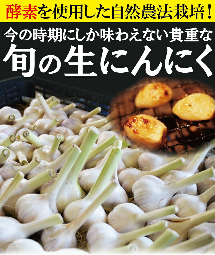 【5月7日頃から発送予定】旬の生にんにく 2kg 自然農法 長崎産 島原半島産 国産 ニンニク にんにく 【5月7日頃から発送予定】旬の生にんにく 2kg 自然農法 長崎産 島原半島産 国産 ニンニク にんにく