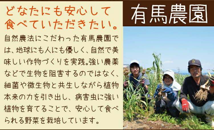 【5月7日頃から発送予定】旬の生にんにく 2kg 自然農法 長崎産 島原半島産 国産 ニンニク にんにく 【5月7日頃から発送予定】旬の生にんにく 2kg 自然農法 長崎産 島原半島産 国産 ニンニク にんにく