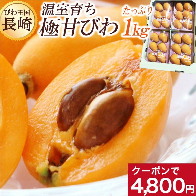 楽天市場 予約商品 ４月中旬より順次発送予定 ハウス栽培 びわ 1kg ビワ 枇杷 お取り寄せ お取り寄せグルメ 長崎 フルーツ 果物 長崎早生 送料無料 長崎県特産品セレクト ながさち