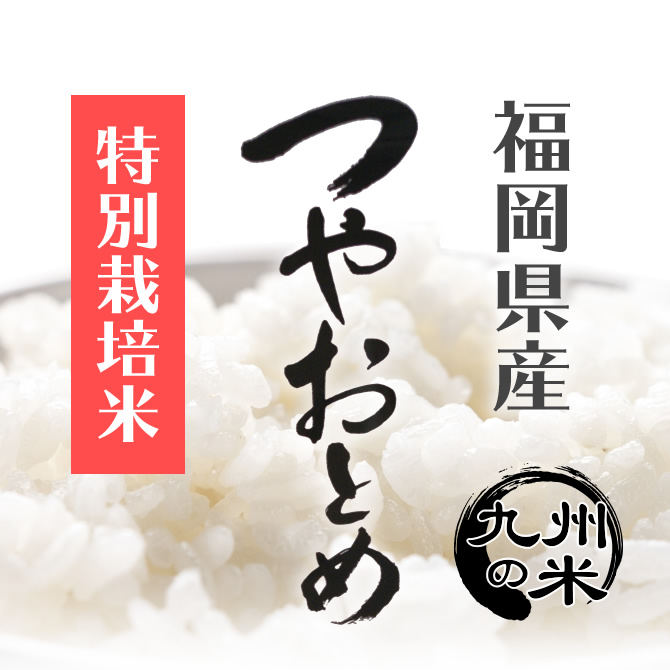 【楽天市場】【令和3年産米】送料無料 減農薬 特別栽培米 つやおとめ 10kg（5kg×2袋）：九州米大将