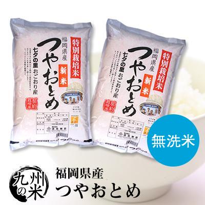 （送料無料） 【無洗米】（令和元年産新米）（減農薬）　つやおとめ 5kg&times;2袋  【10kg】