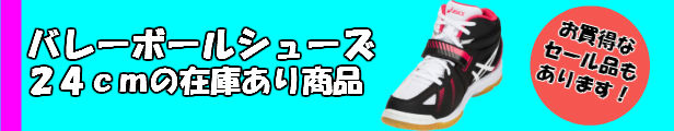 楽天市場】【メール便だと送料無料】 ワンポイント ハイソックス デサント descente DVB8124 | メンズ レディース キッズ 子ども  子供 女の子 練習ソックス ソックス 靴下 バレーボール バレー 試合用ソックス 黒 白 socks そっくす 試合用 チーム お揃い : ディグ  ...