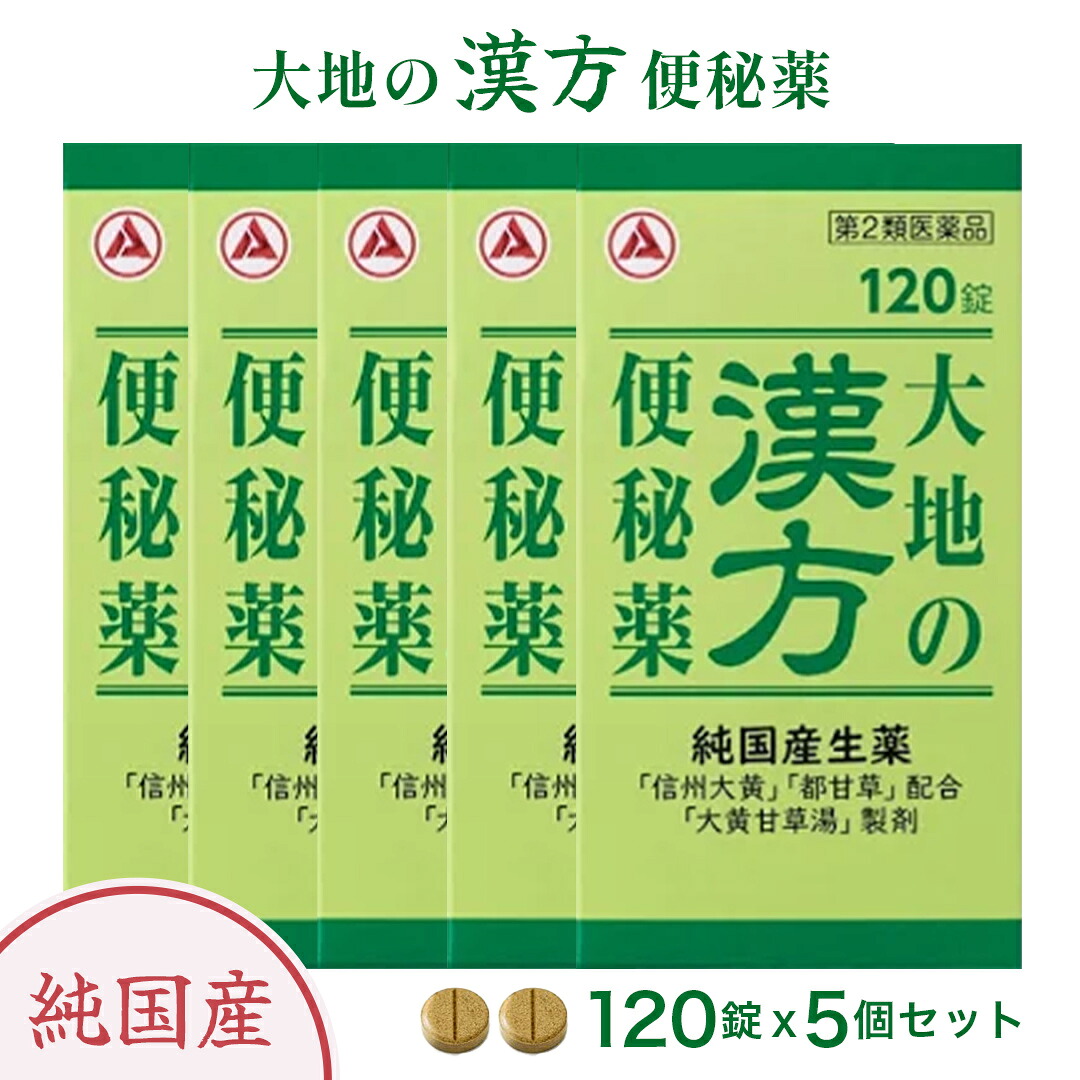 【第2類医薬品】大地の漢方便秘薬 120錠×5個セット|ケーズストア 店
