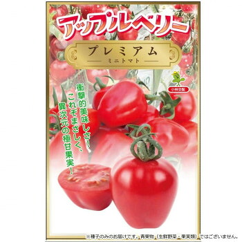 小林種苗 ミニトマト種子 アップルベリープレミアム　8449　1000粒
