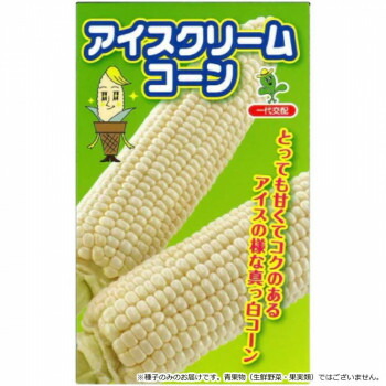 小林種苗 スイートコーン種子 アイスクリームコーン　8145　2000粒