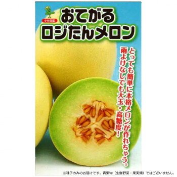小林種苗 メロン種子 おてがるロジたん　8136　100粒