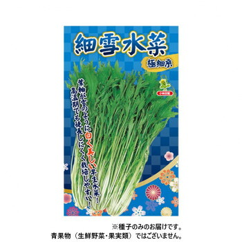 小林種苗 ミズナ種子 細雪水菜　6047　2dl