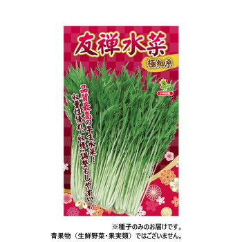 小林種苗 ミズナ種子 友禅水菜　7225　2dl