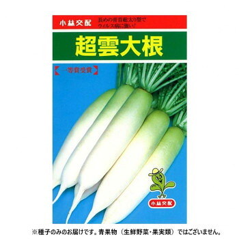 小林種苗 ダイコン種子 超雲大根　2　2dl
