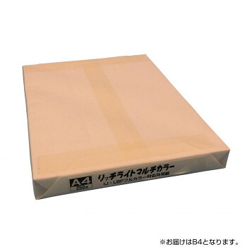オストリッチダイヤ リッチライト マルチカラー B4 250枚/冊 6冊入1箱 MC-06