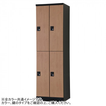 豊國工業 オール扉タイプハンガーパイプ式4人用2列2段 W525(内筒交換錠)RLK-TTPN4252-BNT