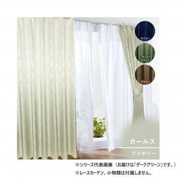 カーテン カールス 150X225 DG 725861150225038