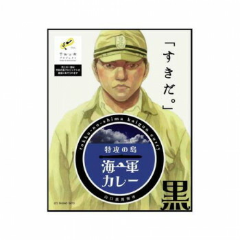 特攻の島黒カレー 10食セット