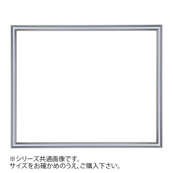 デッサン額 桜かまぼこ シルバー 八ツ切303×242 アクリル 5個セット