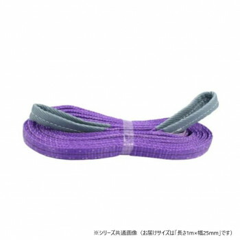 ベスト・アンサー 10本セット ナイロンスリングベルト 25mm 1m 使用荷重 800kg 04910 20個セット