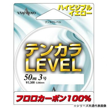 テンカラレベル　50m　3号 13個セット