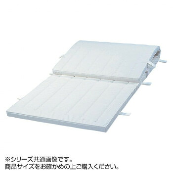 コンビマット 5cm厚仕上(スベラーズなし) 9号帆布 F320|ライフ&ビューティ