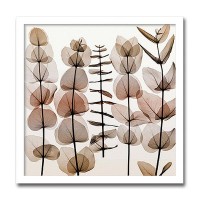 インテリアアート X-ray Photograph Steven N Meyers(スティーブンNマイヤーズ) Eucalypti II AS-11416|ライフ&ビューティ