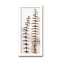 インテリアアート　X-ray Photograph　Steven N Meyers(スティーブンNマイヤーズ)　Eucalypti III 　AS-11417