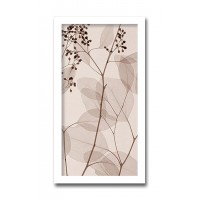インテリアアート X-ray Photograph Steven N Meyers(スティーブンNマイヤーズ) Eucalyptus III AS-11425