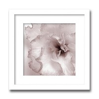 インテリアアート　X-ray Photograph　Steven N Meyers(スティーブンNマイヤーズ)　Jk driggs/Blossom(Two) 　AS-11347