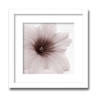 インテリアアート X-ray Photograph Steven N Meyers(スティーブンNマイヤーズ) Jk driggs/Blossom(Three) AS-11348|ライフ&ビューティ