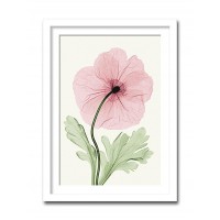 インテリアアート X-ray Photograph Steven N Meyers(スティーブンNマイヤーズ) Iceland Poppy I AS-11407