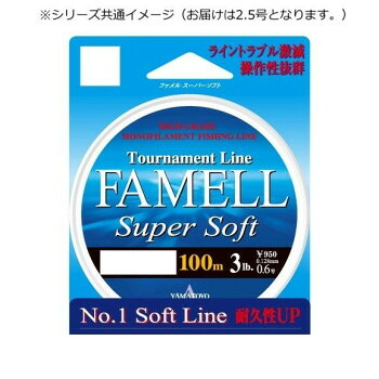 ヤマトヨテグス ファメルスーパーソフト100m 2.5号 24個セット