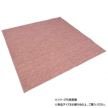 引っ敷き N指導者 エドマ2 RO 715828001020013