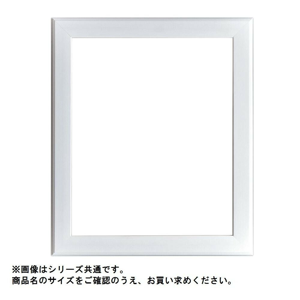 アルナ 樹脂フレーム デッサン額 APS-01-W F8・61903