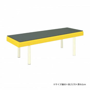 高田ベッド製作所 低反発マット 幅60×長さ170×厚み2cm TB-1238