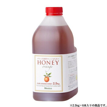 クインビーガーデン メキシコ産純粋オレンジはちみつ 2.5kg×6本