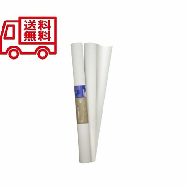 オガファーザースムーズ 1m 25m 貨物輸送無料 Diy 隔壁 上塗 しっくい 傾角 紙 材チップ 語調湿因習 エコ 耐久性 デュプロン リボス 製 Loadedcafe Com