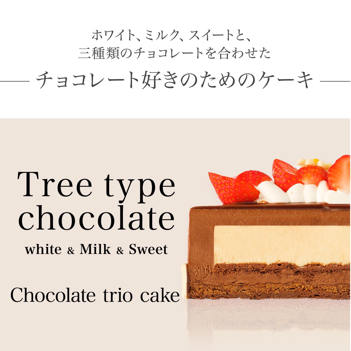 市場 写真ケーキ あす楽 チョコケーキ チョコレートケーキ プリントケーキ 誕生日ケーキ バースデーケーキ 4号 イラストケーキ ショコラトリオ 3 4人向け