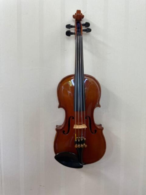 楽天市場】Karl Hofner #362 カール ヘフナー ミュート