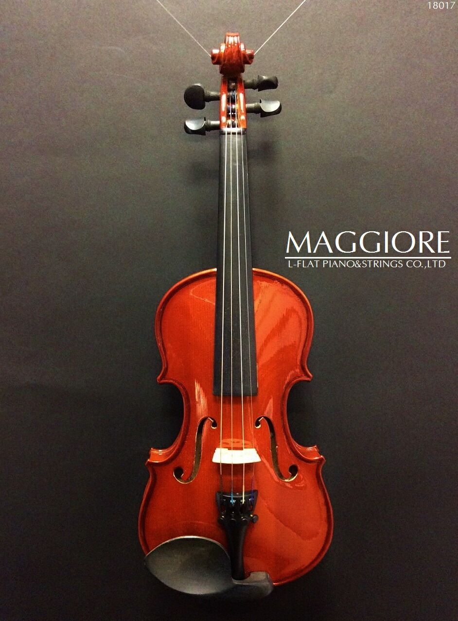 楽天市場】Roderich Paesold ローデリヒ・ペゾルト/バイオリン/PA804J