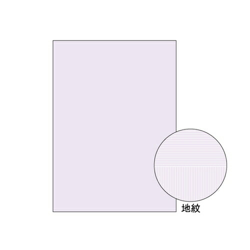 ヒサゴ【AC】Ａ４ コピー判別用紙 両面大入り A-4902668570108★【BP2110Z】