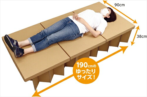 【仕立て上げる・教材】AR4521718513256 アーテック ATｴｺﾀﾞﾝﾍﾞｯﾄﾞ