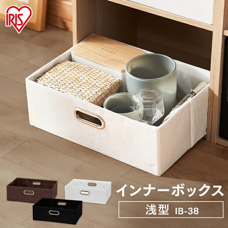 カラーボックス用　インナーボックス 収納ボックス カラーボックス用 RE 高さ24cm 9個セット （ 幅39.5×奥行