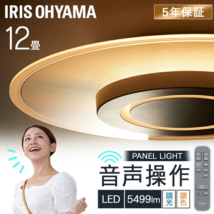シーリングライト おしゃれ 12畳 音声操作 パネルライト led リモコン 薄型 アイリスオーヤマ タイマー 導光パネル 音声 省エネ LEDシーリングライト シーリング led照明 天井照明 照明 リビング照明 導光板 CEK-A12DLPV[2604SO]