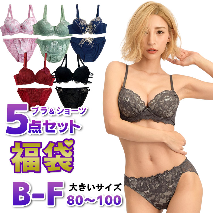 深刻大きさ 福袋 ブラジャー ブラショーツセット 下着類 レディース 21 ブラセット 上下 5点セット B85 B90 B95 C85 C90 C95 D85 D90 D95 D100 E85 E90 E95 E100 F85 F90 F95 F100 Bマッグ Cカップ Dカップ Eカップ F カップ 愛おしい 可愛らしい