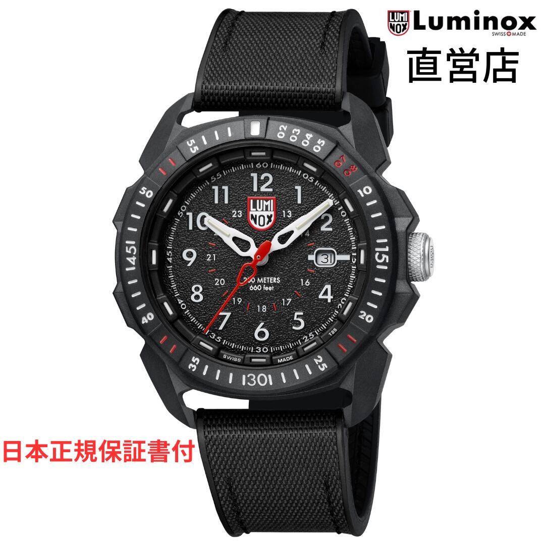 楽天市場】ルミノックス 腕時計 日本正規 LUMINOX F-22 RAPTOR™ 