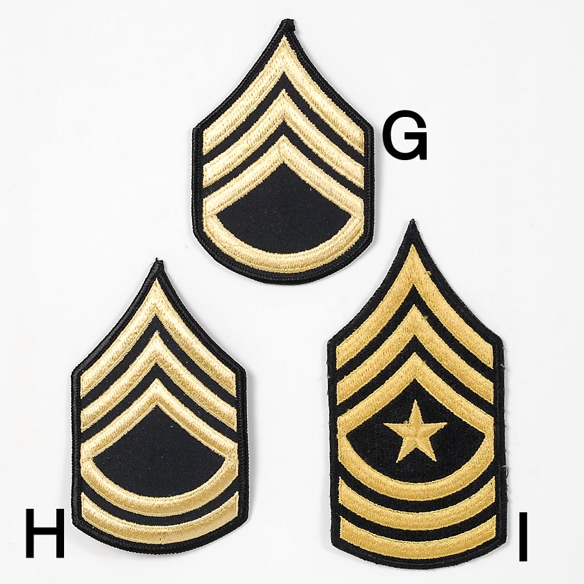 楽天市場 ｕｓ ポリス 階級章 新品 ｒａｎｋ ｂｂｌｃ L A Boy