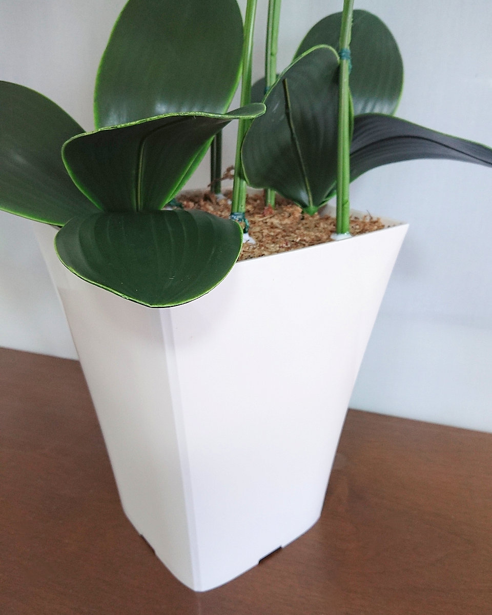 開店開業祝い 移転祝 新築祝などに アーティフィシャルフラワー 造花 胡蝶蘭鉢植え ５本立 ｗ ｙ プラ鉢に色紙ラッピング 光触媒コーティング