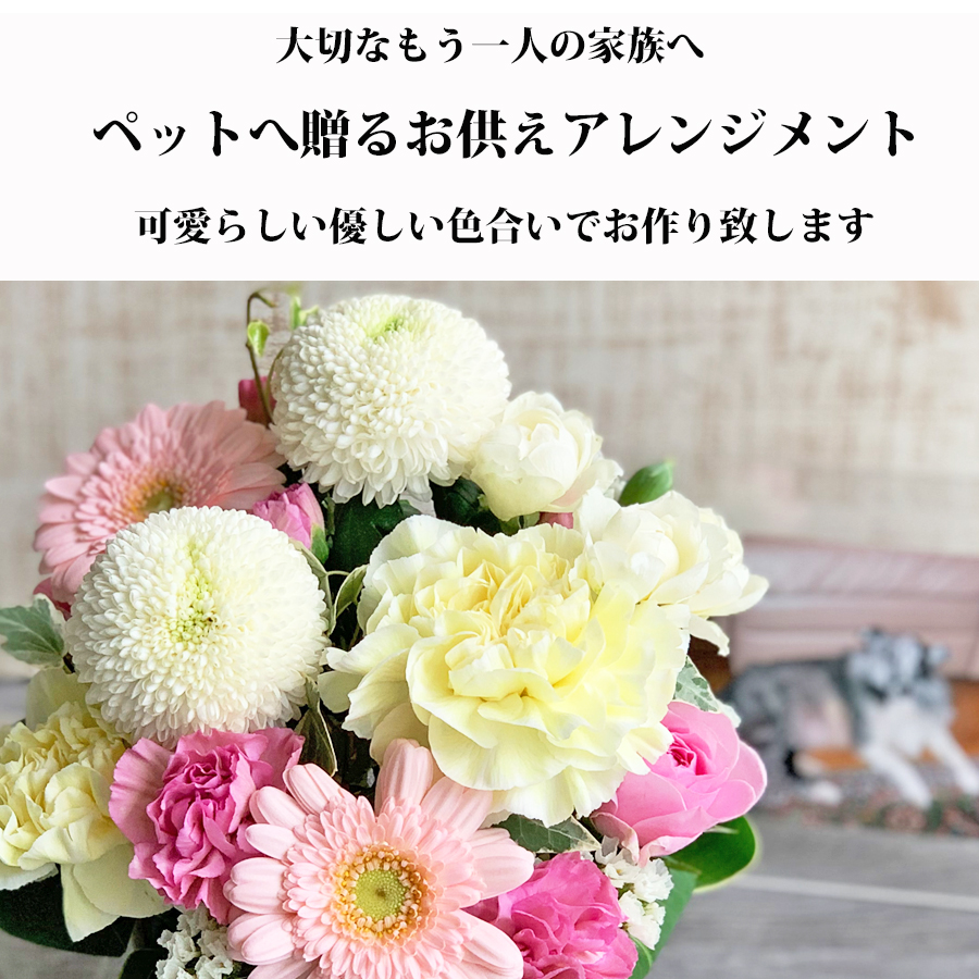 クール便発送 可愛いペットへありがとう ペット お供え花 アレンジメント 4000円 ペットお供え アレンジメント ペットロス 癒しのアレンジメント 犬 ネコ 花 生花 お悔やみ 花 即日 ドッグ 犬 一周忌 花 Giosenglish Com