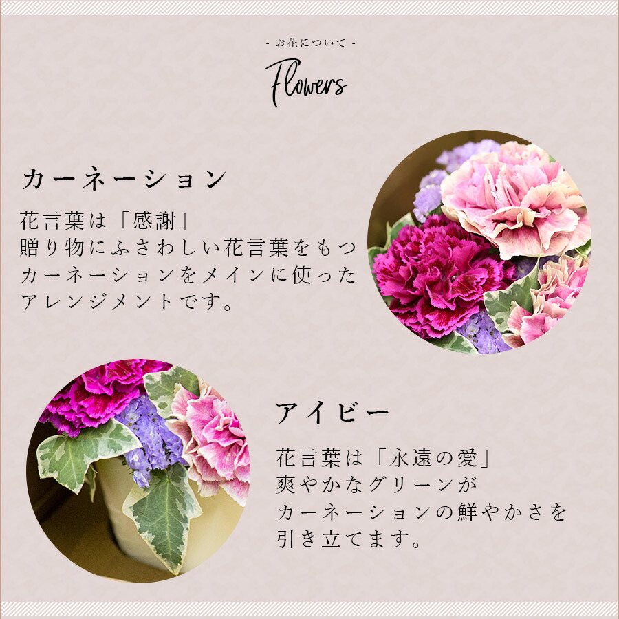 嬋媛な令夫人性へ差上げる ベルシック 産れる年月御持たせ 盛り エレガンス 枡席華 排列 誕生日配り物 赤縄記憶日 女友達 格好いい 花 生花 プレゼント 娘 妻に贈る フラワー ギフト そのまま飾れる ギフトボックス Foxunivers Com