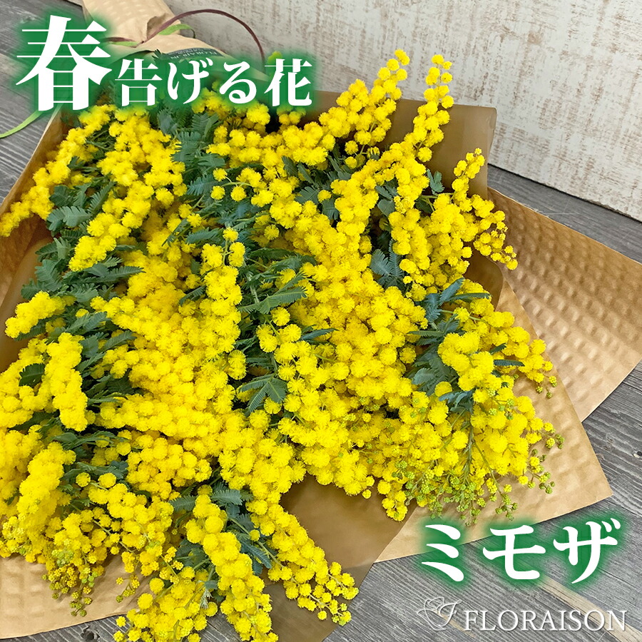 22新作モデル 日産 Qc3 0 増設 急速 充電usbポート 車載 周りが光る ブルー 結線タイプ 増設電源 スマホ充電 電装 エクストレイル エルグランドe52 セレナc25 C26 など用 Mwork Su