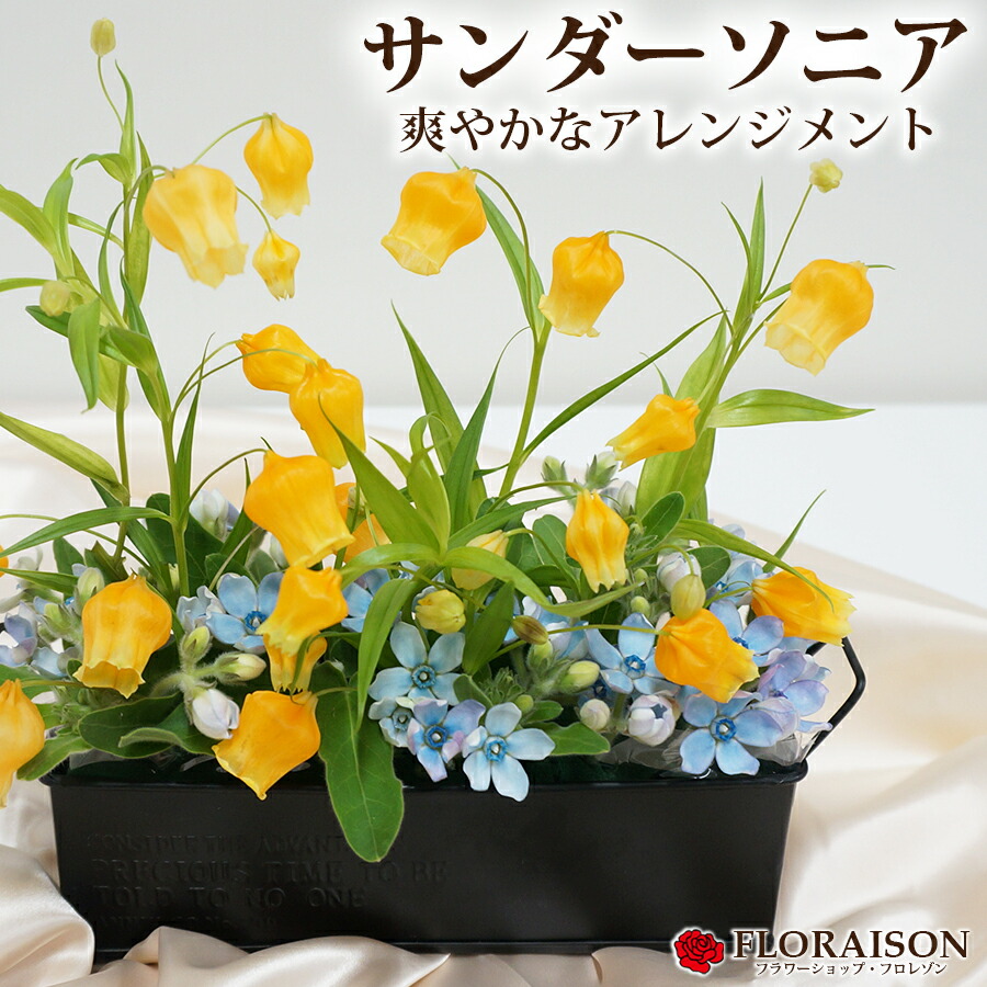 サンダーソニア アレンジメント 誕生日 フラワーギフト 結婚記念日 フラワー オレンジ 花 生花 可愛い フラワーアレンジメント プレゼント 送別 開店祝い 生花