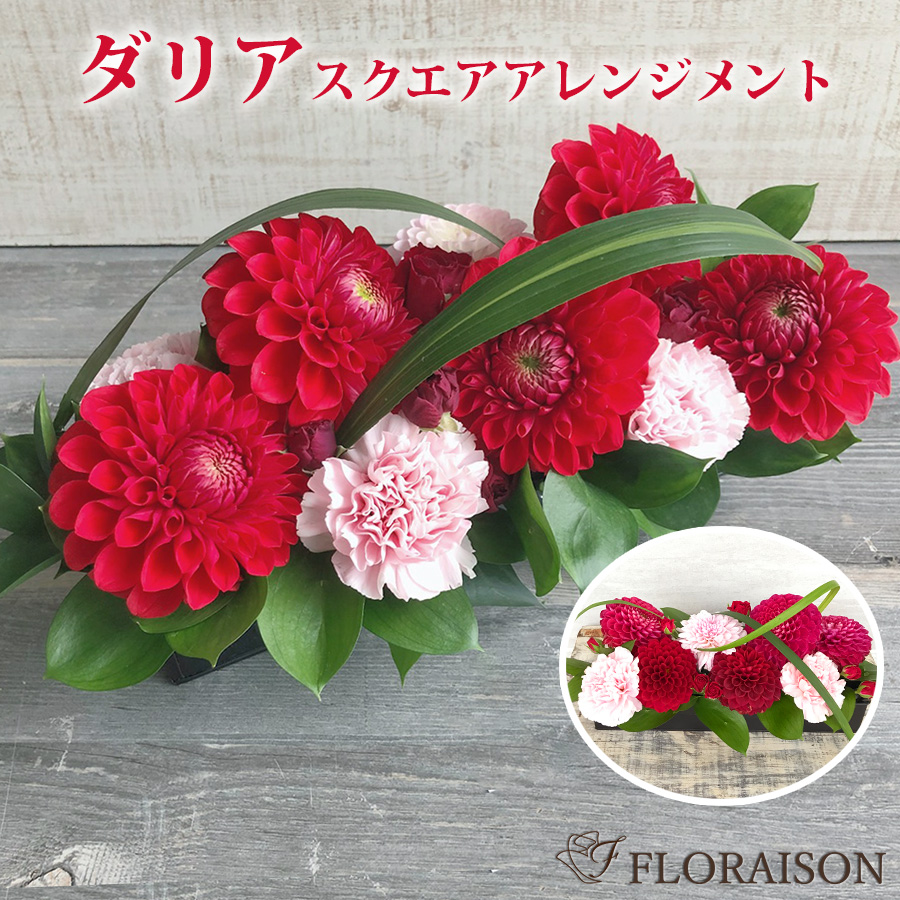 ダリア スクエア アレンジメント M 誕生日 結婚記念日 成人の日 ギフト 花 プレゼント 女性 花 バラ 薔薇 華やか ギフト おしゃれ フラワーアレンジメント 開店祝い 還暦 花 送料無料 そのまま飾れる 花 ギフト 生花